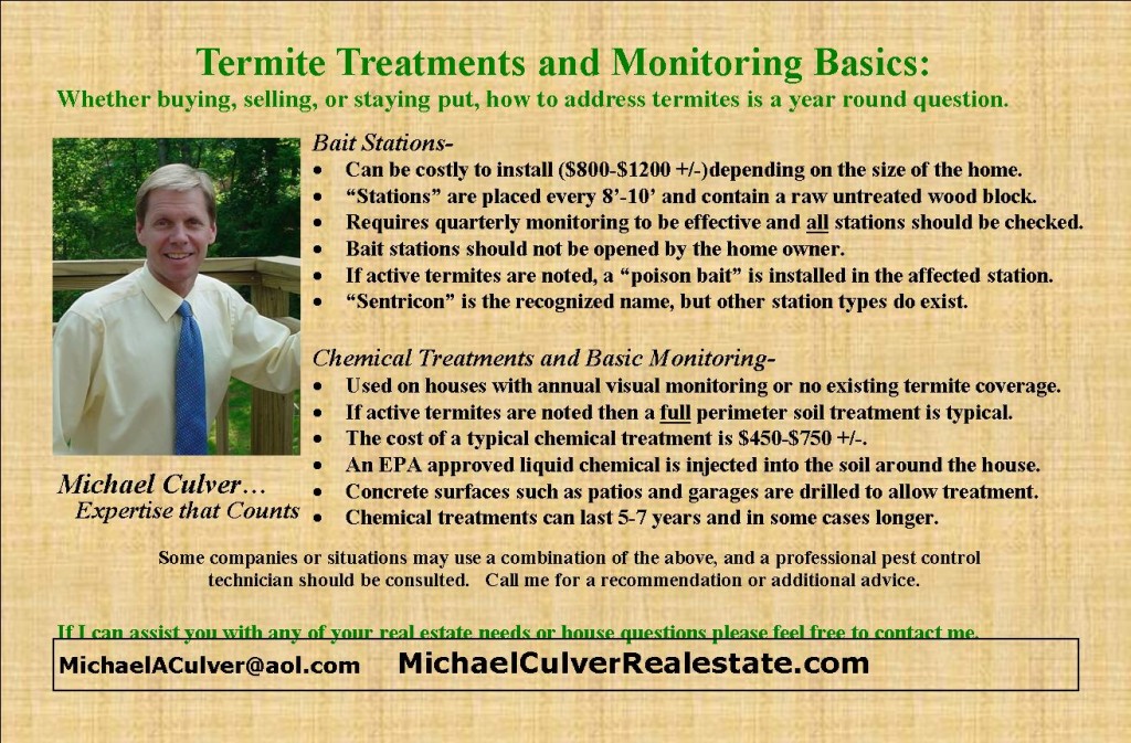 termite treatment and monitoring basics